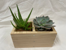 Mini Planter Boxes